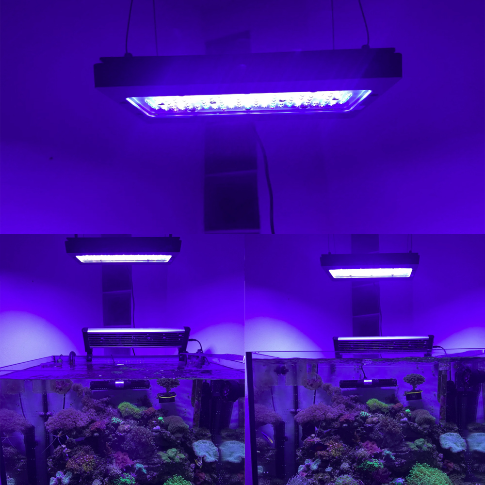A8se Pro III MAX Blau 240W Mar – Aquarium Blue Marine Reef Bewertung und Preis