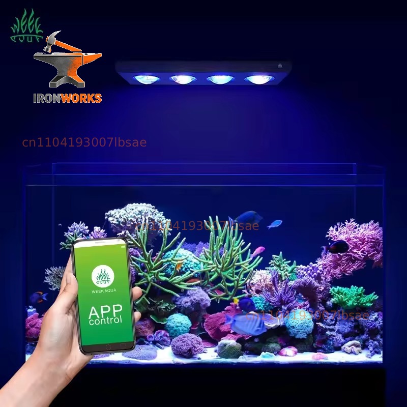 Z400 120W Aquarium Meerwasser- – Aquarium Blue Marine Reef Bewertung und Preis