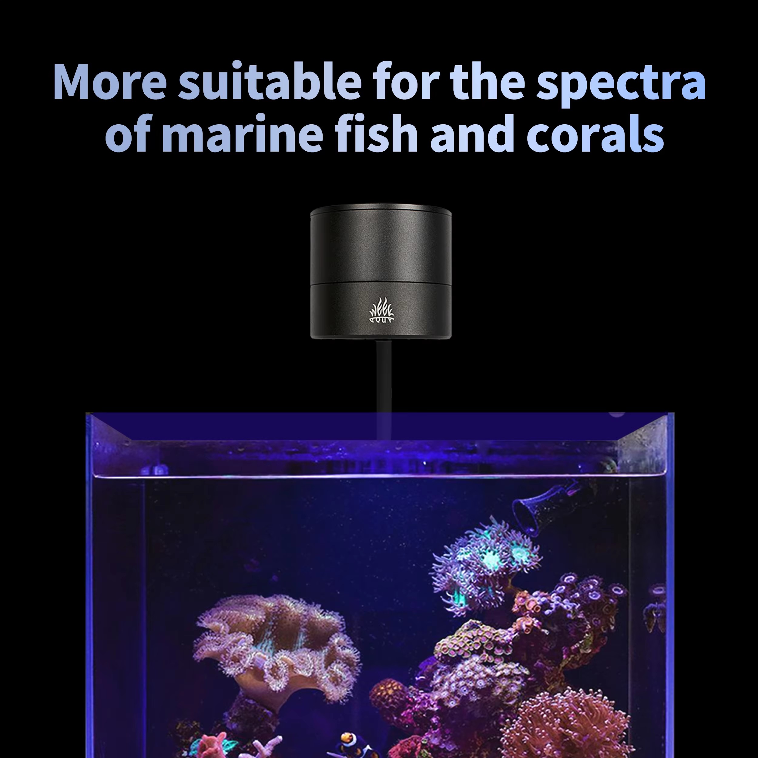 WEEK AQUA Aquariumbeleuchtung  – Aquarium Blue Marine Reef Bewertung und Preis