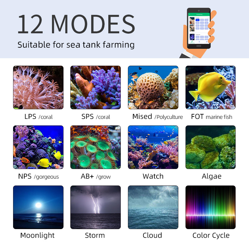ZXY Heißer Verkauf WEEKAQUA Z2 – Aquarium Blue Marine Reef Bewertung und Preis