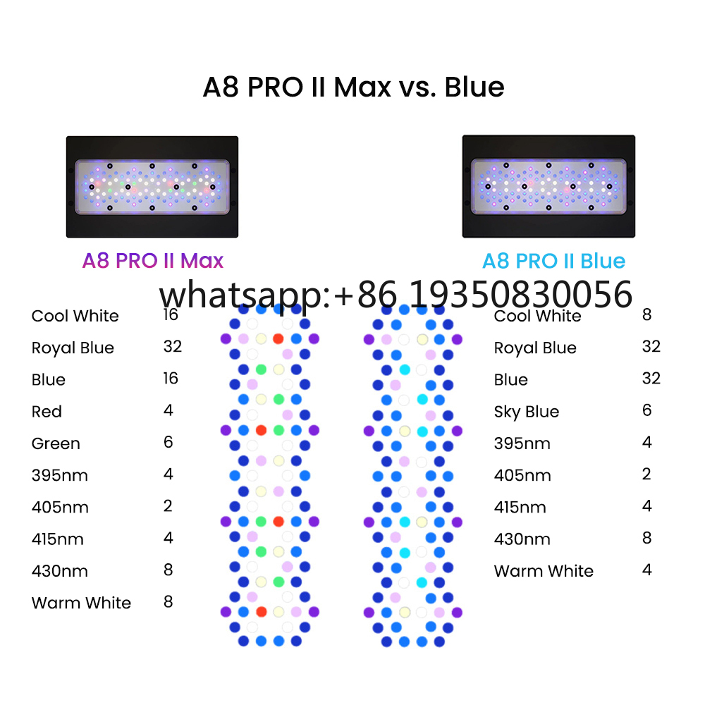 2026-A8 PRO II Max und Blue 24 – Marine Aquarium & Regional Centre Bewertung und Preis
