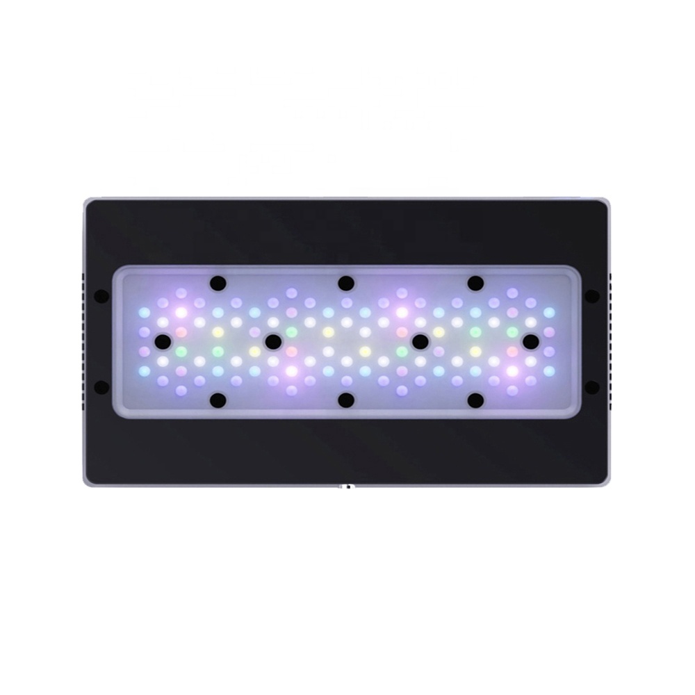 A8SE II Max und Blue 240W Voll – Aquarium Blue Marine Reef Bewertung und Preis